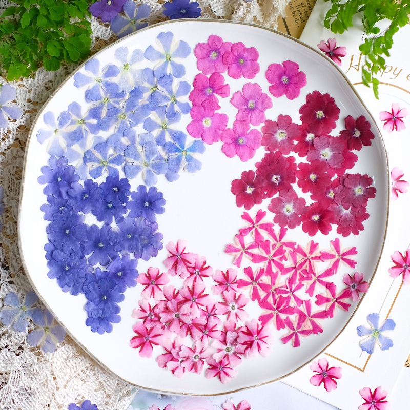 50 pièces/1,5-2 cm, fleurs de  - Art Craft 2 Year Olds avis et prix