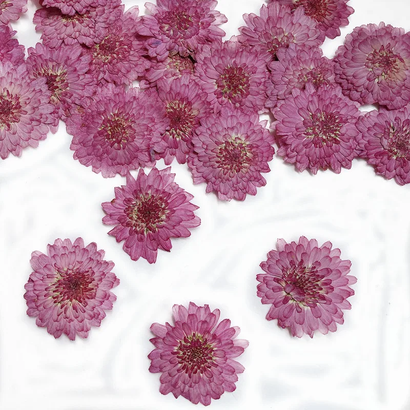 Véritables fleurs de chrysanth - Art Craft 2 Year Olds avis et prix