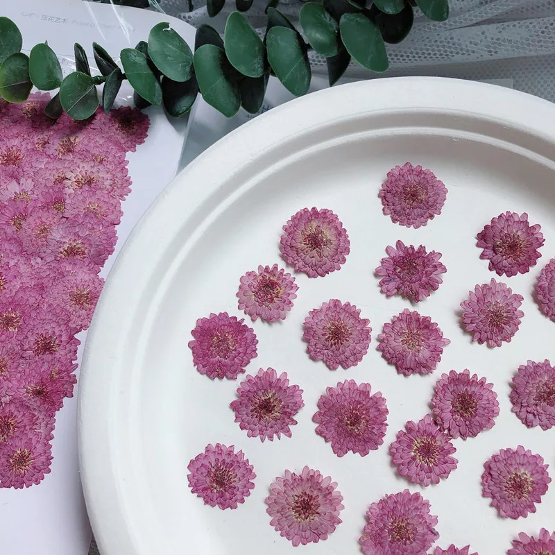 Véritables fleurs de chrysanth - Art Craft 2 Year Olds avis et prix