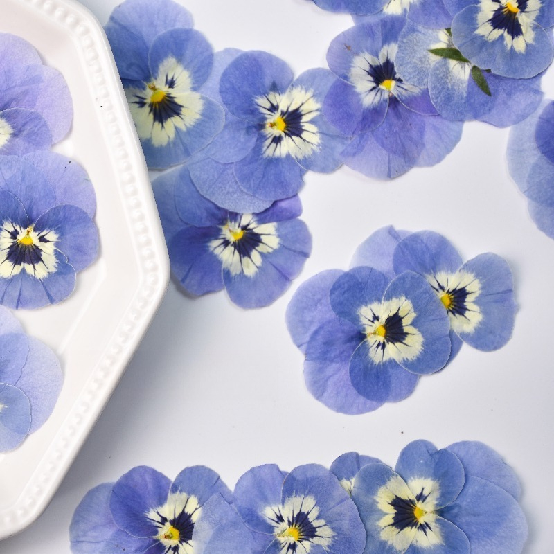 24 pièces, véritables fleurs d - Art Craft 2 Year Olds avis et prix